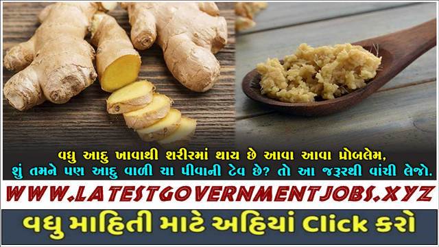 If you consume more ginger in summer, then know its side effects