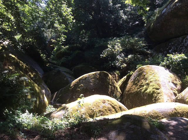 Huelgoat Forest, Brittany, France