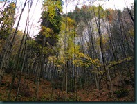 DSCN9667