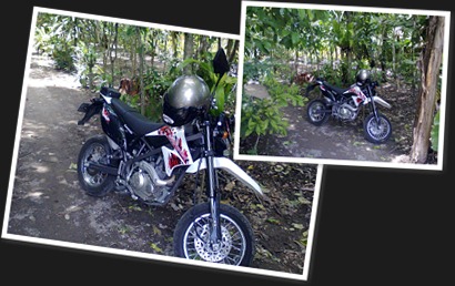 View album