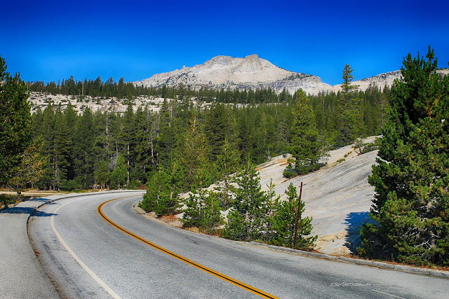 Yosemite National Park Tioga Pass geology travel field trip copyright rocdoctravel.com