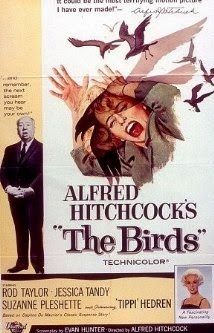 Watch The Birds (1963) Full Movie Instantly http ://www.hdtvlive.net