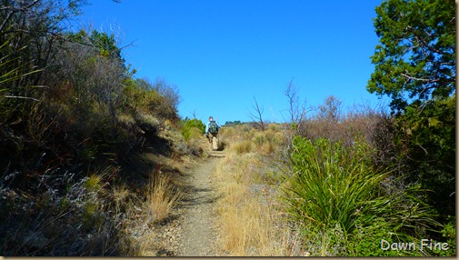 South rim hike,Big bend_017