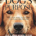 10 Fascinating Books for Dog Enthusiasts of All Ages