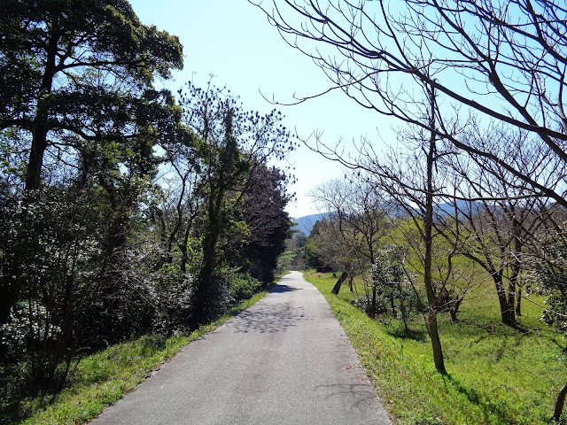 弥生の森の遊歩道