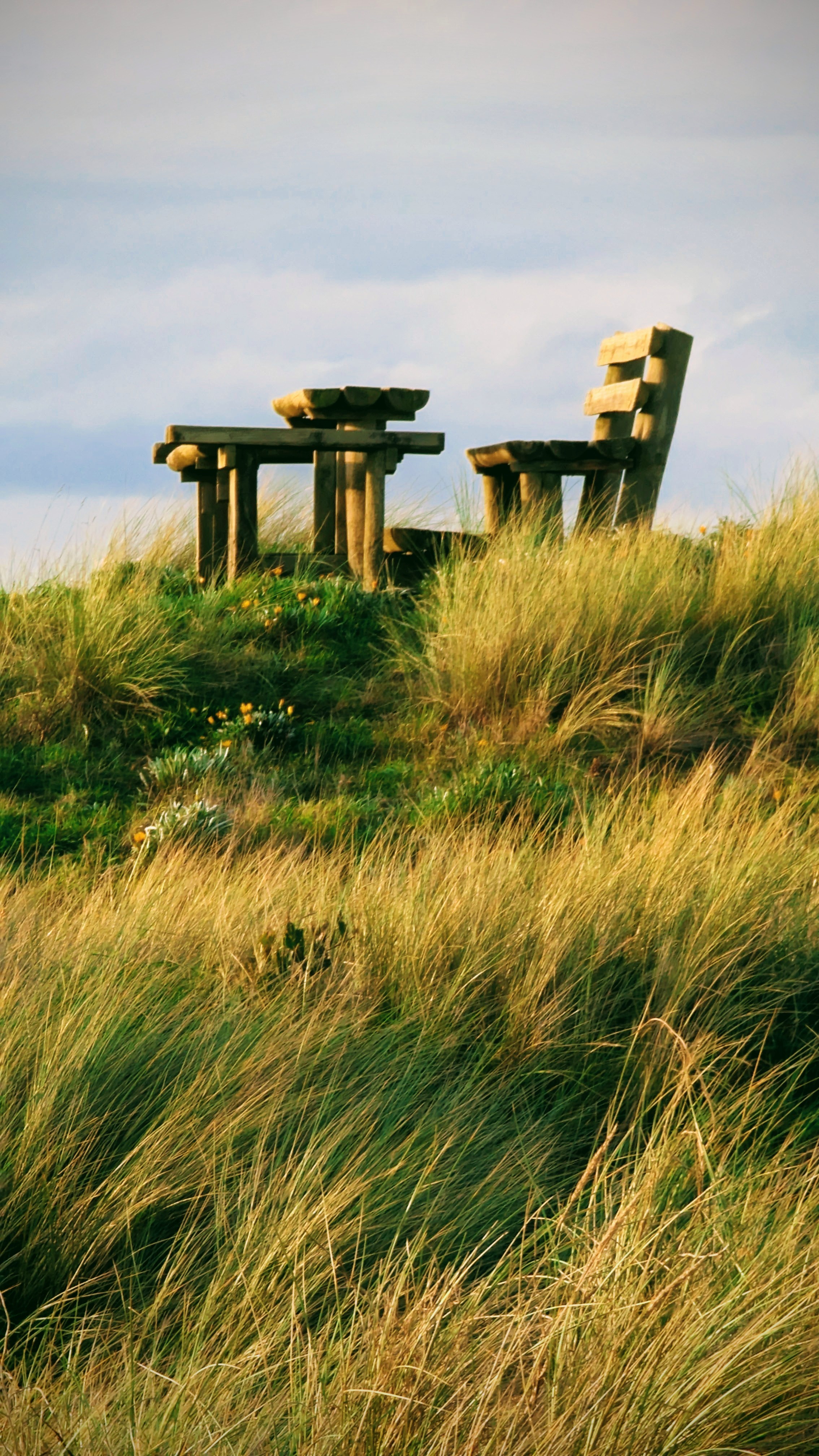Wooden seating and table on top of a small rise amongst the dunes. The light is late afternoon in May.