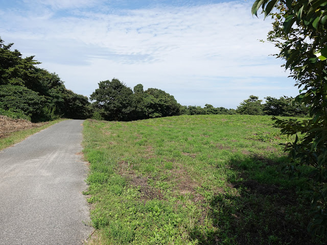 むきばんだ史跡公園の遺構展示館の裏の道