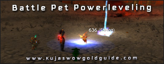 How to level a battle pet to 25 fast