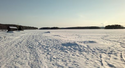 kävely luonnossa tuo energiaa