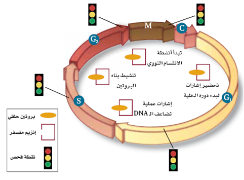 https://abhaskom.blogspot.com/