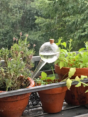 Pflanzen im Regen und Eiffelturmminiatur