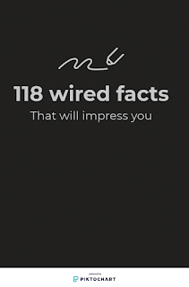 Interesting and Weird Fun Facts (That Will Amaze You)
