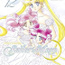 Bewertung anzeigen Pretty Guardian Sailor Moon 12 Hörbücher