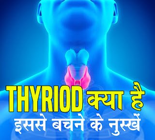 The thyroid gland is a small organ that's located in the front of the neck