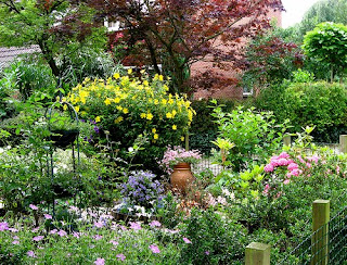 garden yard design full page home