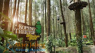 PT. Kopeng Treetop Adventure Park Semarang