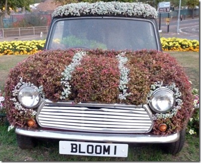 mini florido (1)