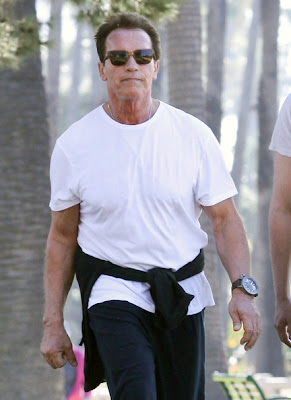 Arnold Schwarzenegger 2012 Wallppers