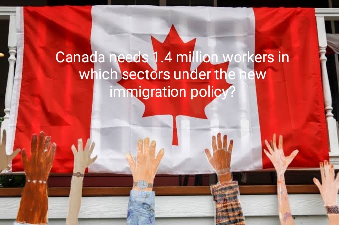 Canada needs 1.4 million workers in which sectors under the new immigration policy?