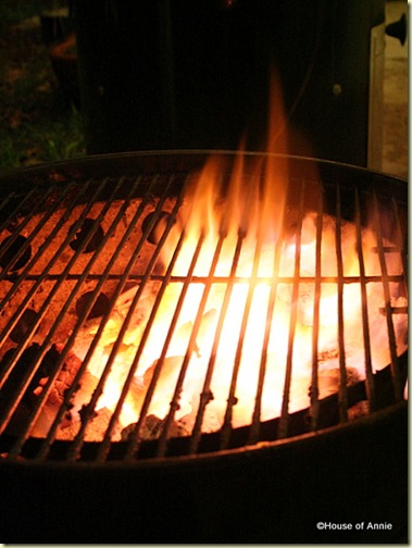 Searing Hot Mesquite Charcoal Fire on the WSM