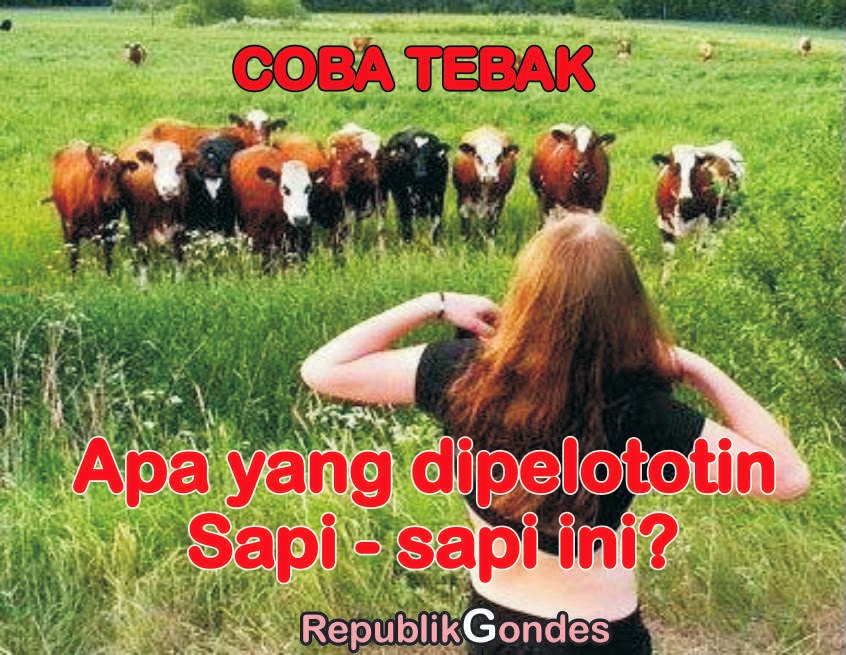 Cerita Humor Lucu Kocak Gokil Terbaru Ala Indonesia