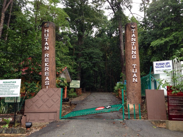 Inspirasi 22+ Hutan Rekreasi