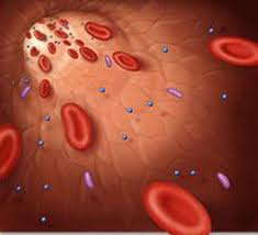 Circulação-de-sangue-ruim