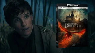 Animais Fantásticos: Os Segredos de Dumbledore é lançado no Brasil em DVD e Blu-ray