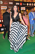 Mamata Mohandas at IIFA Utsavam-thumbnail-10