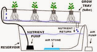 hidroponik-sistem-NFT