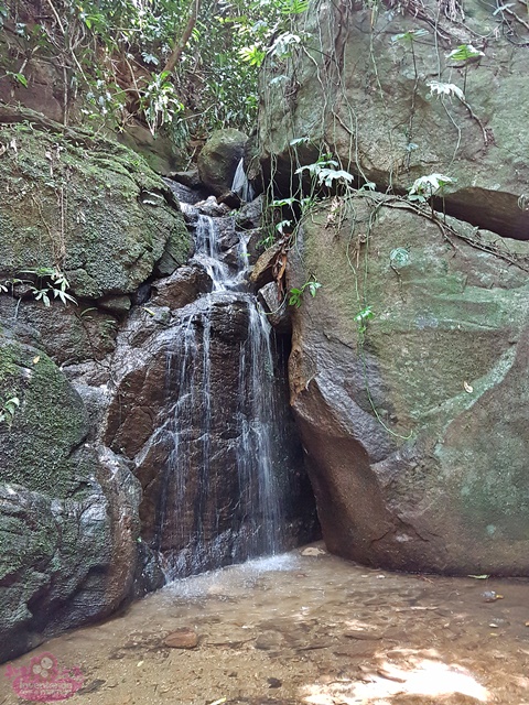 O que fazer na Floresta da Tijuca com crianças