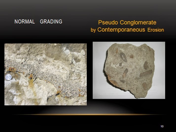 Dhy's Blog: Kondisi Keberadaan lapisan Batu Bara (Geologi 