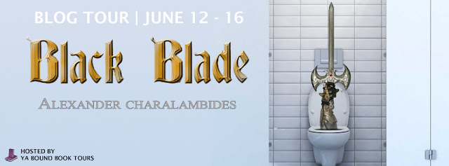 http://yaboundbooktours.blogspot.com/2017/04/blog-tour-sign-up-black-blade-by.html