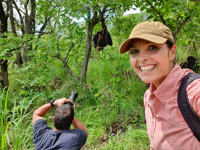 Trekking com chimpanzés na Tanzânia: safari no Gombe Stream National Park