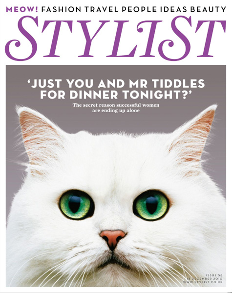 Stylist Cat Cover