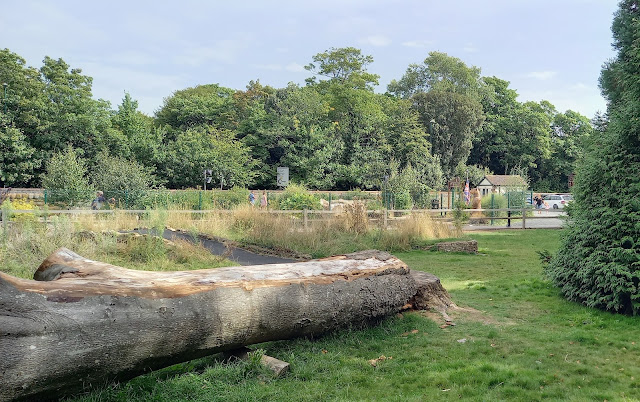 There are remnants of the old crazy golf course next to the new adventure golf layout