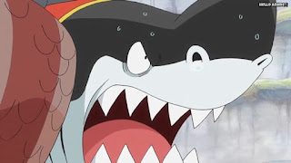 ワンピースアニメ 魚人島編 553話 メガロ | ONE PIECE Episode 553