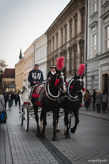 szukam fotografa na ślub Bukowno; szukam fotografa na ślub Olkusz; szukam fotografa na ślub Jaworzno; szukam fotografa na ślub Dąbrowa Górnicza; szukam fotografa na ślub Sosnowiec; szukam fotografa na ślub 2017; szukam fotografa na ślub 2018, tani fotograf na ślub Bukowno; szukam fotografa na ślub Bukowno; tani fotograf na ślub Bukowno; tani fotograf na ślub Jaworzno; tani fotograf na ślub Dąbrowa Górnicza;plener ślubny, plenerowe sesje zdjęciowe, zdjęcia w kościele, fotograf na wesele, fotografia ślubna 2017, fotografia ślubna 2018, przygotowania panny młodej, ślub kościelny, biorę ślub, ślub 2018, ślub 2017 śląsk, fotograf na śluby 2018, fotografia okolicznosciowa; fotograf na ślub; fotografia ślubna; fotograf dziecięcy; fotografia noworodkowa; fotografia rodzinna; zdjęcia rodzinne; fotograf Olkusz; fotograf Bukowno; fotografia dziecięca Bukowno; fotografia dziecięca Olkusz; fotografia dziecięca Dąbrowa Górnicza