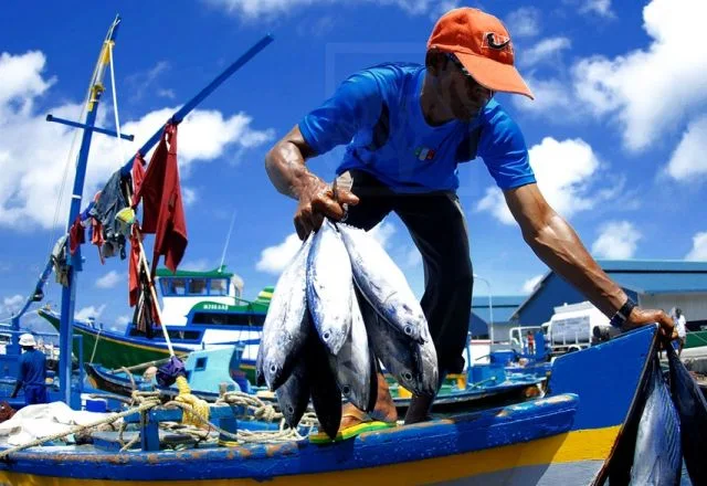 Pescador Hualaihué