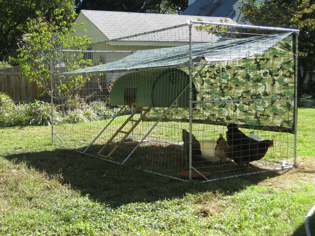 Magic Smoke: Lightweight Chicken Tractor