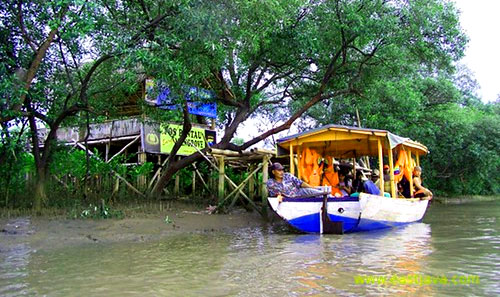 menelusuri  hutan mangrove gunung anyar surabaya menggunakan perahu