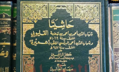 Download Kitab Hasyiah Qalyubi wa Umairah PDF