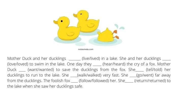 class-3-english-chapter-1