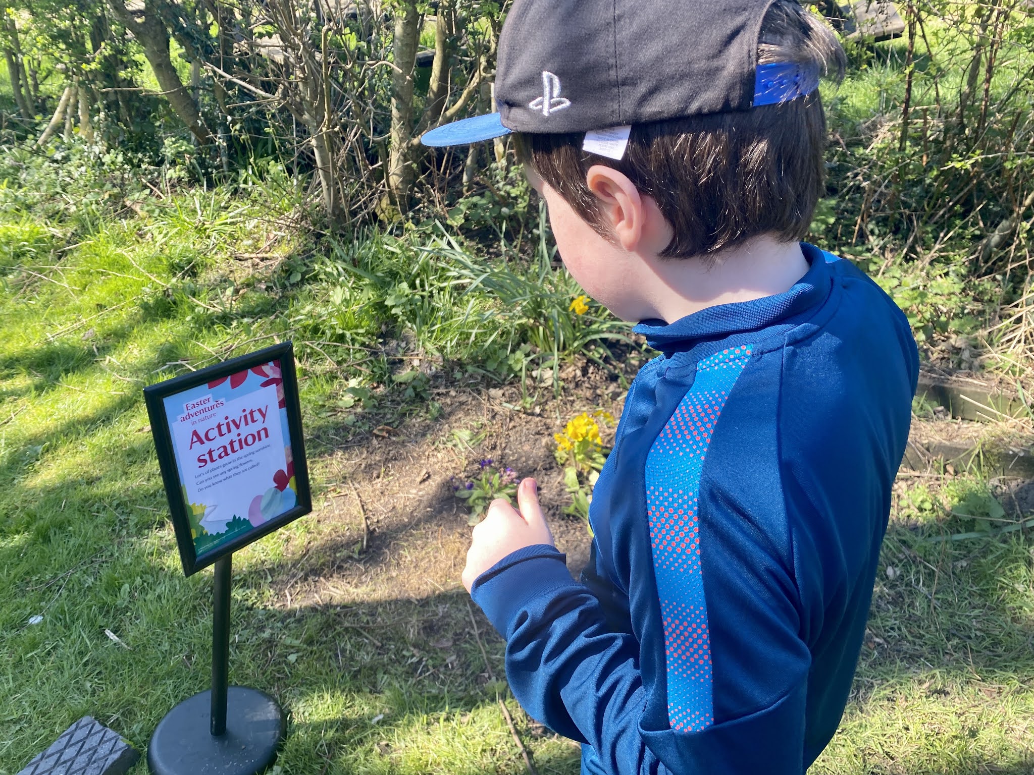 boy completing an easter egg hunt