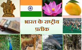 भारत का राष्ट्रीय प्रतीक | National Emblem of India: What it Symbolizes in hindi