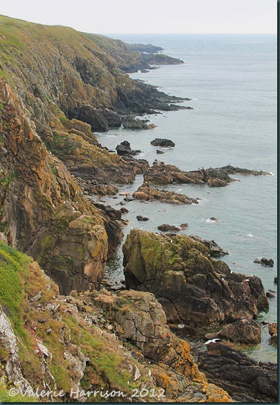 67 rocky-coastline