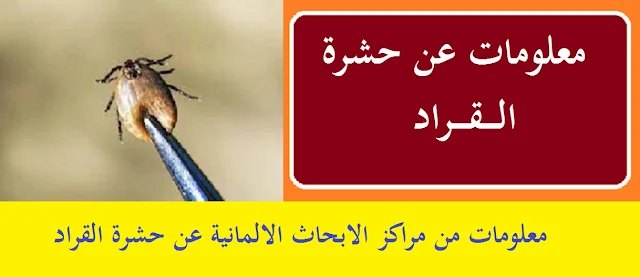 "التخلص من حشرة القراد" "كيف يموت القراد" "أنواع القراد بالصور" "مبيدات القراد" "القراد في الكلاب" "هل ينتقل القراد من الكلاب للانسان" "شكل لدغة القراد"    "تأثير القراد على الإنسان"                           "حشرة القراد" "حشرة القرادة" "حشرة القراد في الكلاب" "حشرة القراد في الانسان" "حشرة القراد بالانجليزي" "حشرة القراد في القطط" "حشرة القراد في المنام" "حشرة القراد في المنزل" "حشرة القراد في المنام للعزباء" "حشرة القراد القرم والكونغو" "ماهو شكل حشرة القراد" "ما هو حشرة القراد" "مبيد حشرة القراد" "حشرة القرادة ويكيبيديا" "حشرة القرادة في المنام" "حشرة القرادة في المانيا" "حشرة القرادة في السويد" "حشرة القرادة في تركيا" "شكل حشرة القرادة" "ماهي حشرة القرادة" "ازالة حشرة القرادة" "القرادة حشرة" "القراد حشرة" "حشرات القراد" "ما هي حشرة القرادة" "علاج حشرة القراد في الكلاب" "حشرة القراد عند الكلاب" "كيفية التخلص من حشرة القراد في الكلاب" "حشرة القراد للكلاب" "القراد في الكلاب" "شكل القراد في الكلاب" "القراد في جسم الانسان" "التخلص من حشرة القراد في القطط" "تفسير حشرة القراد في المنام" "رايت حشرة القراد في المنام" "رؤيا حشرة القراد في المنام" "الحلم حشرة القراد في المنام" "حشرة القراد في الحلم" "تفسير رؤيا حشرة القراد في المنام" "القراد في البيت" "القراد في المنزل" "ما هو شكل حشرة القراد" "ما هي حشرة القراديات" "من هي حشرة القراد" "ما هو القراد" "مبيد القراد" "مبيدات القراد" "مبيد للقراد" "مبيد حشري للقراد" "القراد ويكيبيديا" "تفسير حشرة القراد في الحلم" "حشرة القراد في المانيا" "حشرة القراد في السويد" "حشرة القراد السويد" "شكل حشرة القراد" "كيف شكل حشرة القراد" "شكل لدغة حشرة القراد" "ماهي حشرة قرادة الغزال" "ماهو حشرة القرادة" "ما هي حشرة القراد" "ماهي هي حشرة القراد" "التخلص من حشرة القراد" "حشرات القرادة" "حشرة القراد في تركيا" "القراد الصغير" "حشرات حشرات" "حشرة الاكلانة" "حشرة الانثروفاجا" "حشرات المواشي"