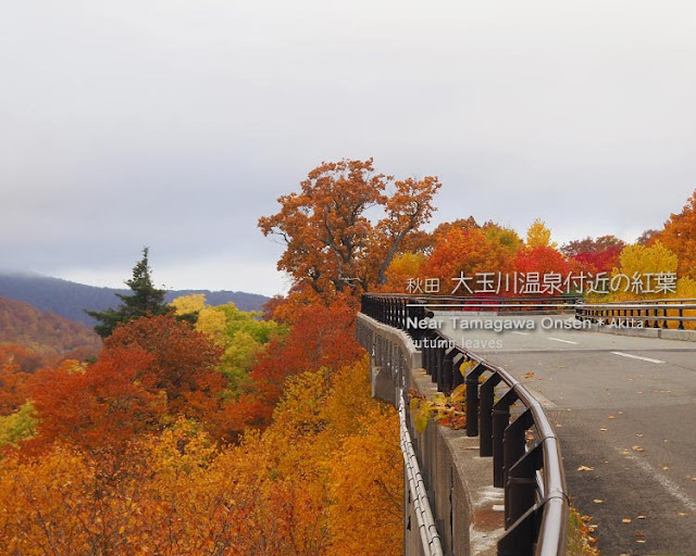 玉川温泉付近の紅葉