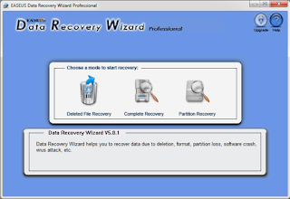 Easeus Data Recovery Wizard professional