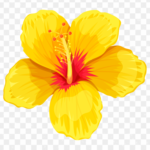 Flor color amarillo PNG transparente